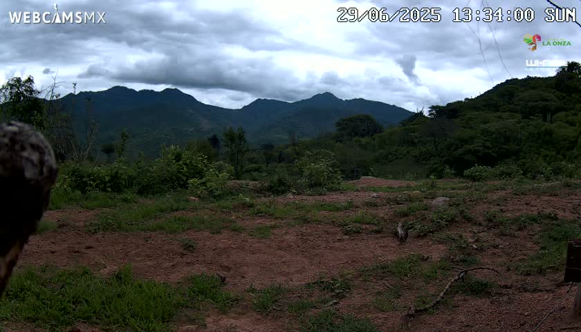 Rancho La Onza BordoNatural Park Live Cam - San Luiz de la Paz, Guanajuato, Mexico