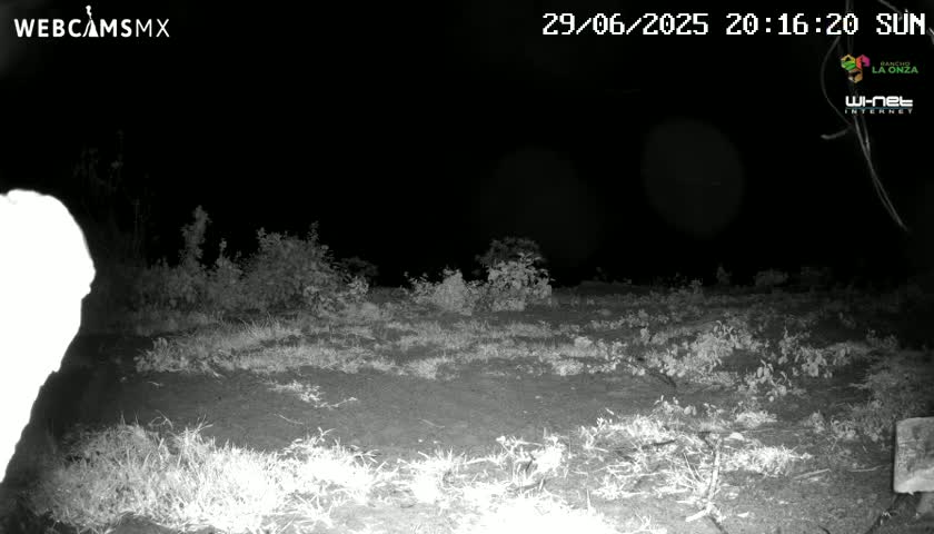 Rancho La Onza BordoNatural Park Live Cam - San Luiz de la Paz, Guanajuato, Mexico