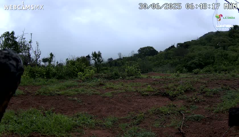 Rancho La Onza BordoNatural Park Live Cam - San Luiz de la Paz, Guanajuato, Mexico