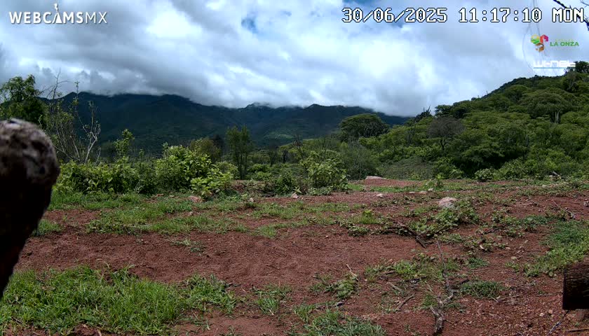 Rancho La Onza BordoNatural Park Live Cam - San Luiz de la Paz, Guanajuato, Mexico
