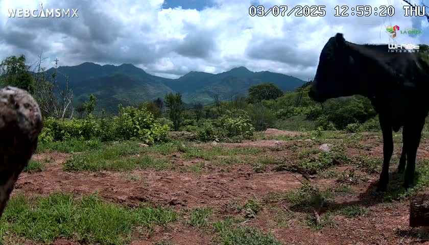 Rancho La Onza BordoNatural Park Live Cam - San Luiz de la Paz, Guanajuato, Mexico