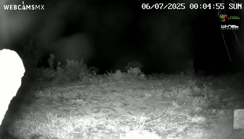 Rancho La Onza BordoNatural Park Live Cam - San Luiz de la Paz, Guanajuato, Mexico