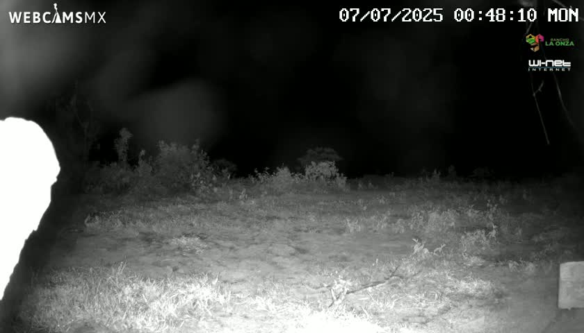 Rancho La Onza BordoNatural Park Live Cam - San Luiz de la Paz, Guanajuato, Mexico