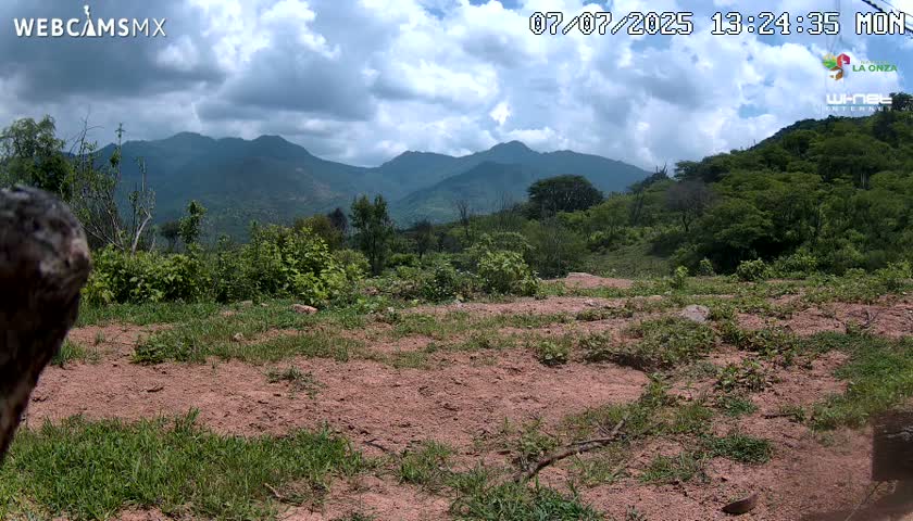 Rancho La Onza BordoNatural Park Live Cam - San Luiz de la Paz, Guanajuato, Mexico