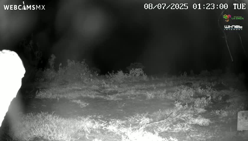Rancho La Onza BordoNatural Park Live Cam - San Luiz de la Paz, Guanajuato, Mexico