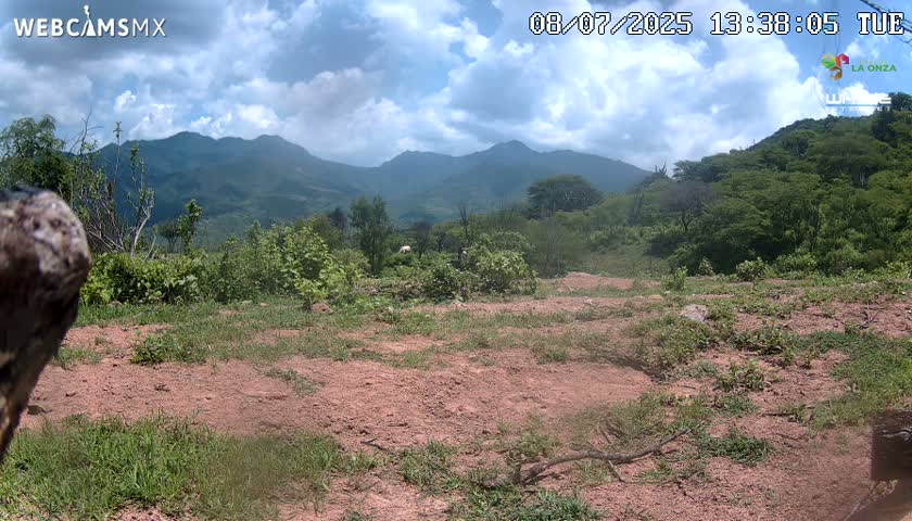 Rancho La Onza BordoNatural Park Live Cam - San Luiz de la Paz, Guanajuato, Mexico