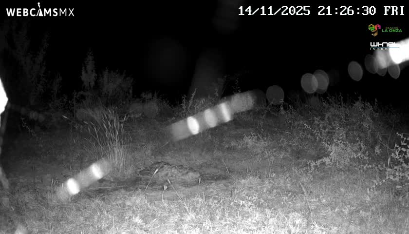Rancho La Onza Bordo Natural Park Live Cam - San Luiz de la Paz, Guanajuato, Mexico