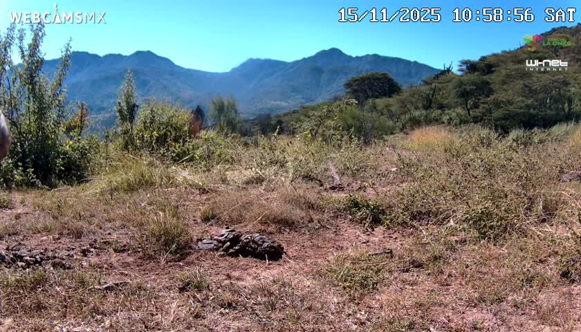 Rancho La Onza Bordo Natural Park Live Cam - San Luiz de la Paz, Guanajuato, Mexico