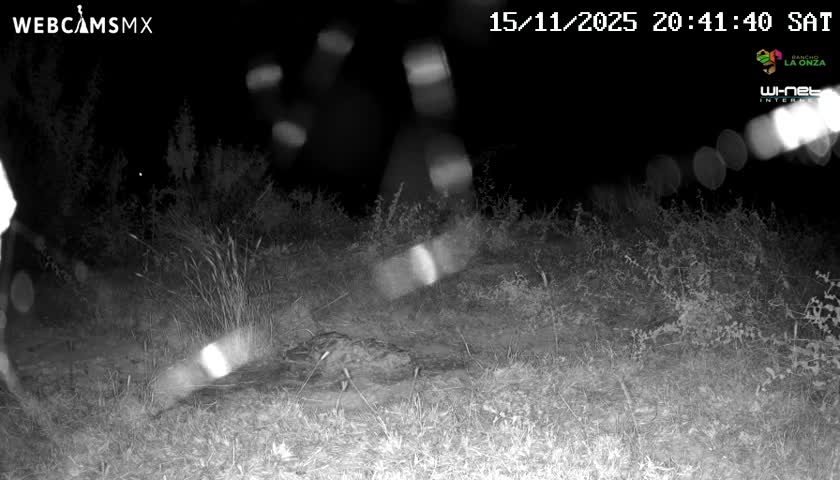 Rancho La Onza Bordo Natural Park Live Cam - San Luiz de la Paz, Guanajuato, Mexico
