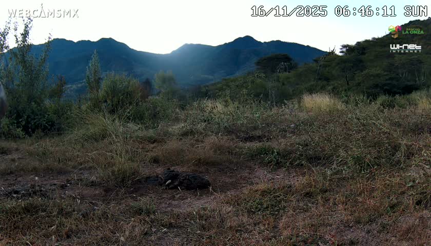 Rancho La Onza Bordo Natural Park Live Cam - San Luiz de la Paz, Guanajuato, Mexico