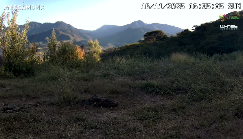 Rancho La Onza Bordo Natural Park Live Cam - San Luiz de la Paz, Guanajuato, Mexico