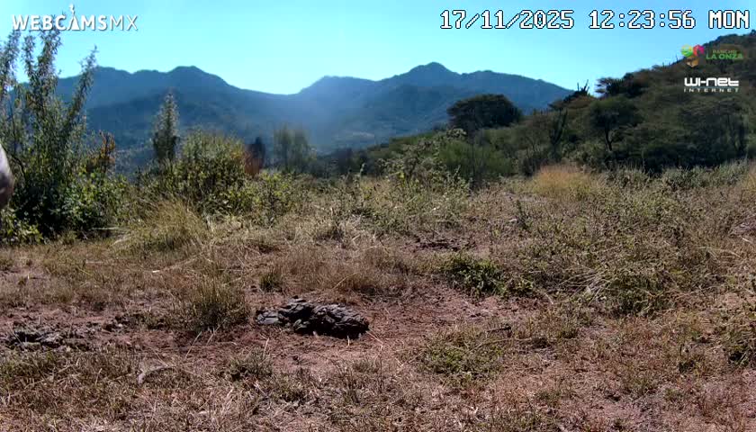 Rancho La Onza Bordo Natural Park Live Cam - San Luiz de la Paz, Guanajuato, Mexico