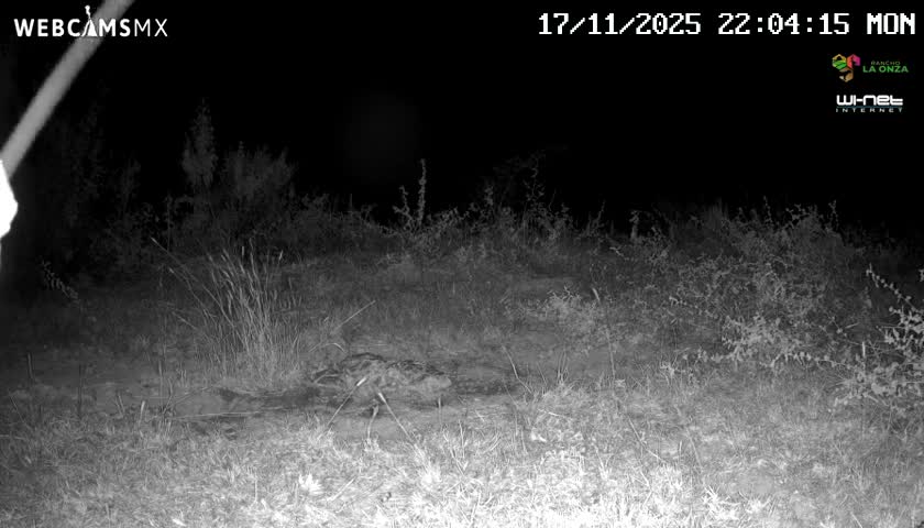 Rancho La Onza Bordo Natural Park Live Cam - San Luiz de la Paz, Guanajuato, Mexico