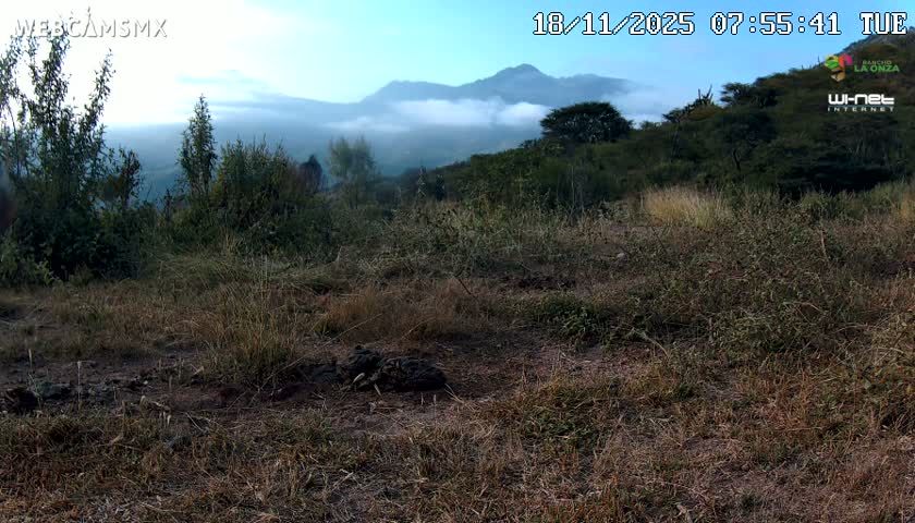 Rancho La Onza Bordo Natural Park Live Cam - San Luiz de la Paz, Guanajuato, Mexico