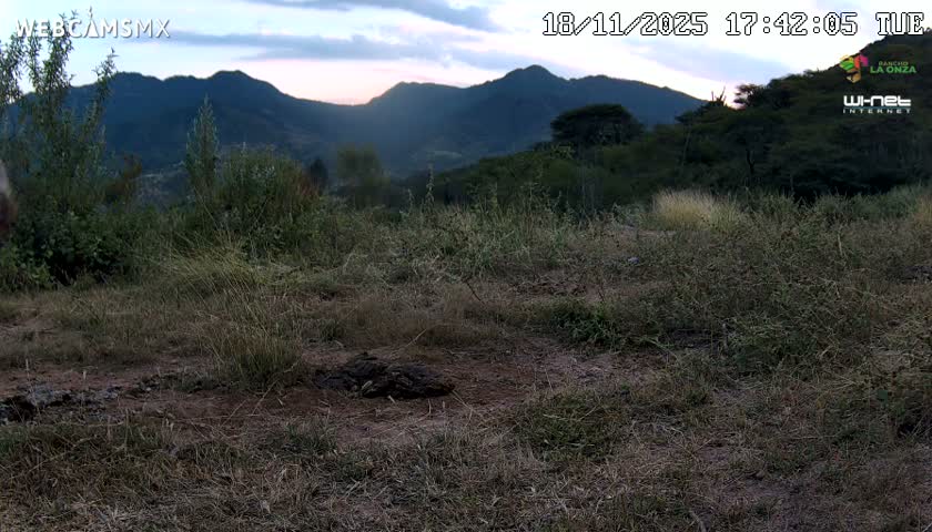 Rancho La Onza Bordo Natural Park Live Cam - San Luiz de la Paz, Guanajuato, Mexico