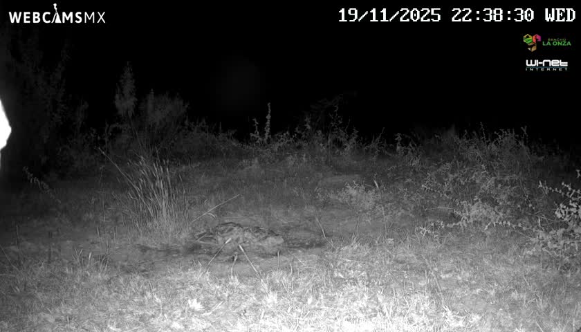 Rancho La Onza Bordo Natural Park Live Cam - San Luiz de la Paz, Guanajuato, Mexico