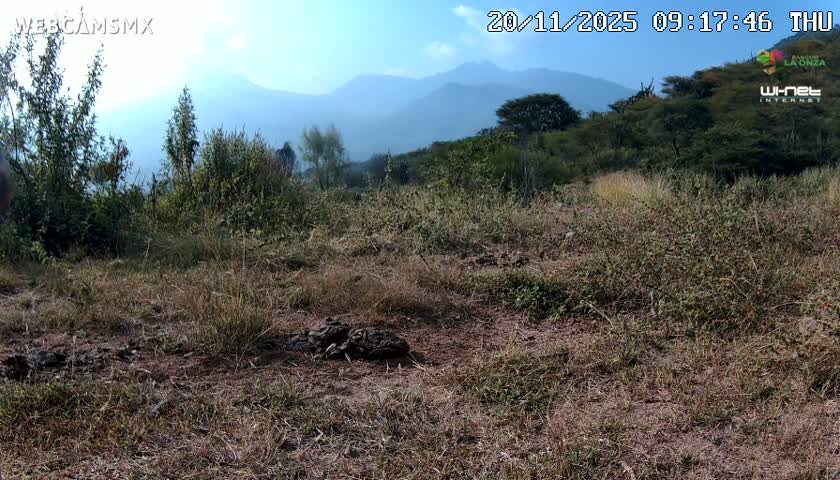 Rancho La Onza Bordo Natural Park Live Cam - San Luiz de la Paz, Guanajuato, Mexico