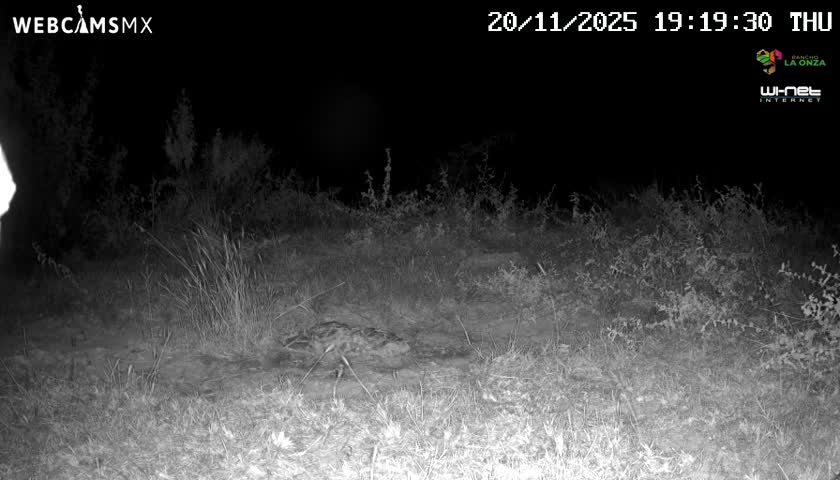 Rancho La Onza Bordo Natural Park Live Cam - San Luiz de la Paz, Guanajuato, Mexico