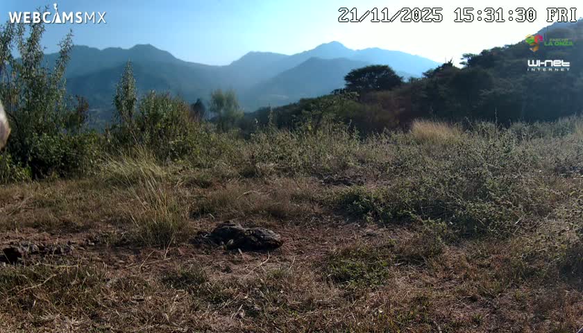 Rancho La Onza Bordo Natural Park Live Cam - San Luiz de la Paz, Guanajuato, Mexico