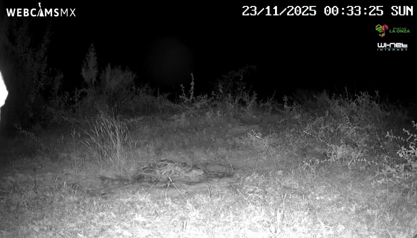 Rancho La Onza Bordo Natural Park Live Cam - San Luiz de la Paz, Guanajuato, Mexico