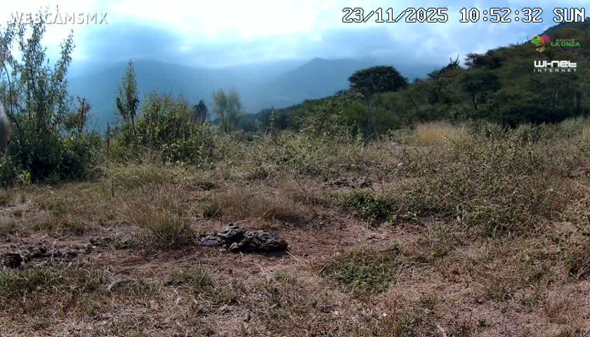 Rancho La Onza Bordo Natural Park Live Cam - San Luiz de la Paz, Guanajuato, Mexico