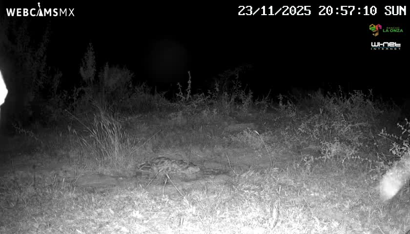 Rancho La Onza Bordo Natural Park Live Cam - San Luiz de la Paz, Guanajuato, Mexico