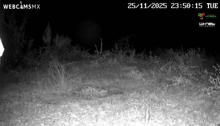 Rancho La Onza Bordo Natural Park Live Cam - San Luiz de la Paz, Guanajuato, Mexico