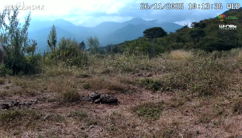 Rancho La Onza Bordo Natural Park Live Cam - San Luiz de la Paz, Guanajuato, Mexico
