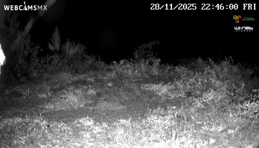 Rancho La Onza Bordo Natural Park Live Cam - San Luiz de la Paz, Guanajuato, Mexico