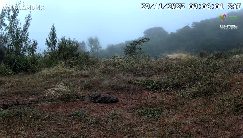 Rancho La Onza Bordo Natural Park Live Cam - San Luiz de la Paz, Guanajuato, Mexico