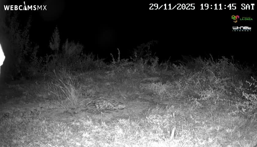 Rancho La Onza Bordo Natural Park Live Cam - San Luiz de la Paz, Guanajuato, Mexico