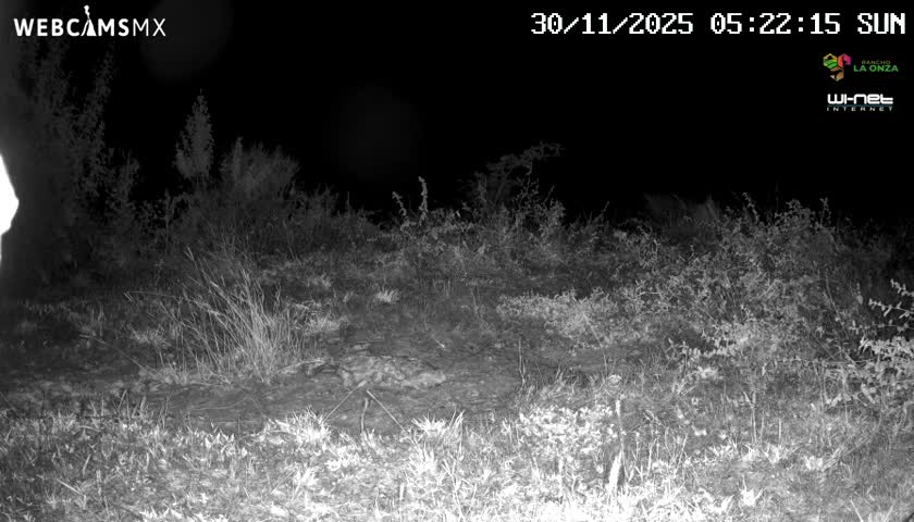 Rancho La Onza Bordo Natural Park Live Cam - San Luiz de la Paz, Guanajuato, Mexico