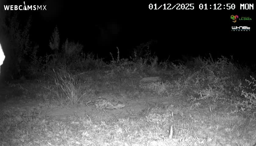 Rancho La Onza Bordo Natural Park Live Cam - San Luiz de la Paz, Guanajuato, Mexico