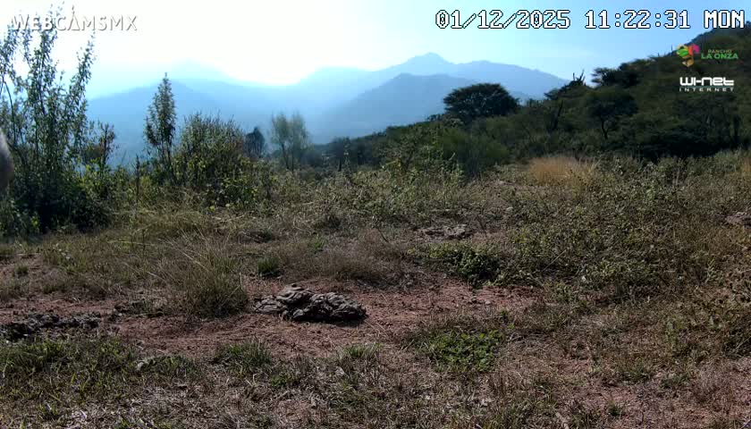 Rancho La Onza Bordo Natural Park Live Cam - San Luiz de la Paz, Guanajuato, Mexico