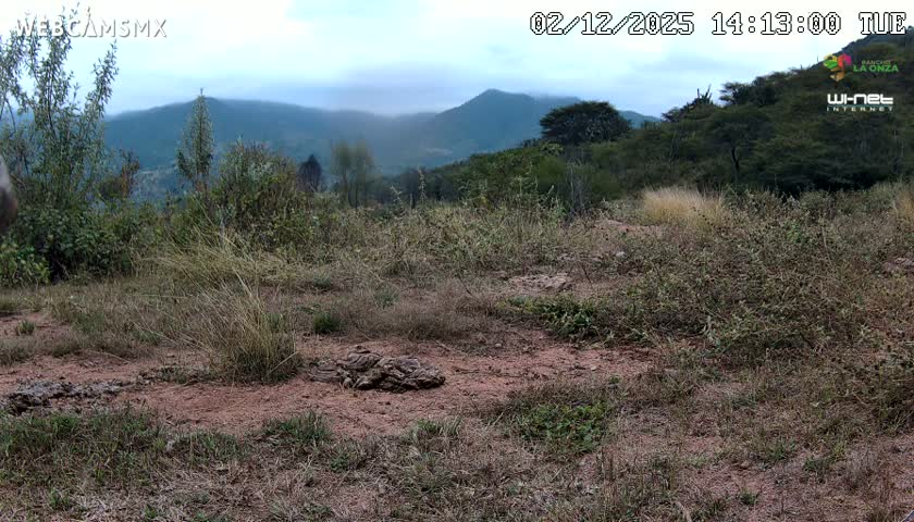 Rancho La Onza Bordo Natural Park Live Cam - San Luiz de la Paz, Guanajuato, Mexico