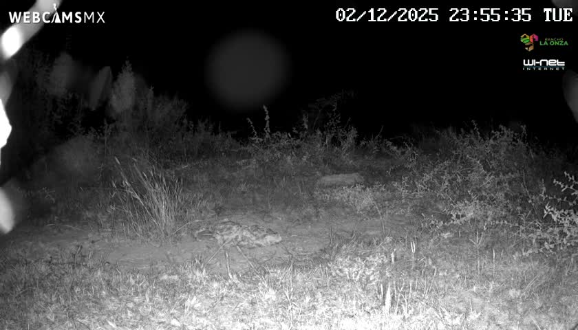 Rancho La Onza Bordo Natural Park Live Cam - San Luiz de la Paz, Guanajuato, Mexico