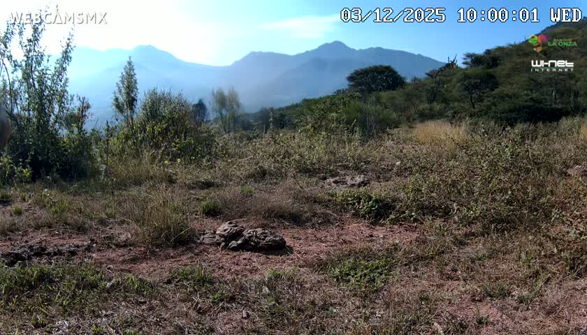 Rancho La Onza Bordo Natural Park Live Cam - San Luiz de la Paz, Guanajuato, Mexico