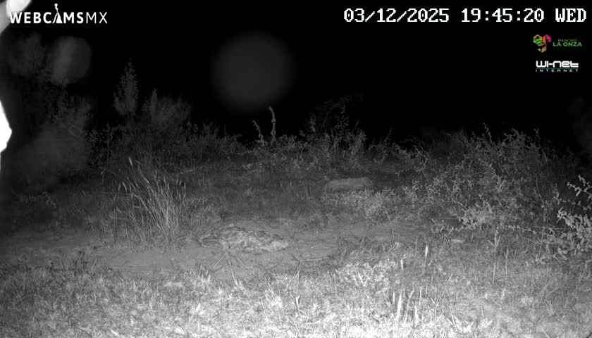 Rancho La Onza Bordo Natural Park Live Cam - San Luiz de la Paz, Guanajuato, Mexico