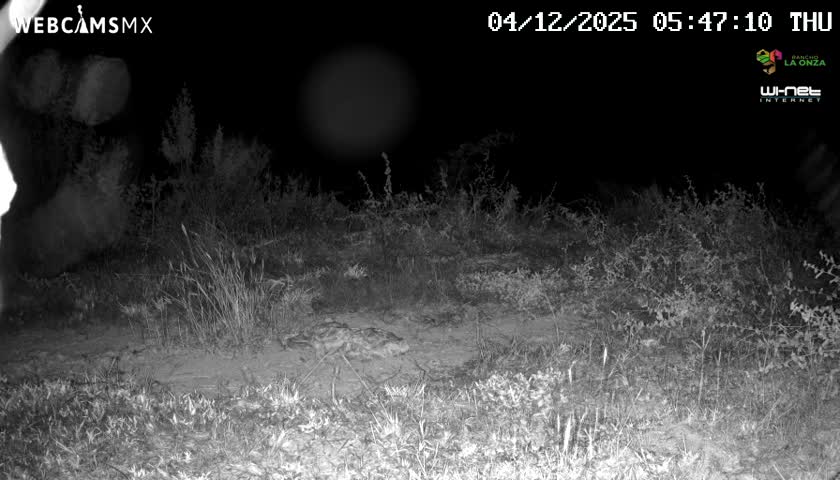 Rancho La Onza Bordo Natural Park Live Cam - San Luiz de la Paz, Guanajuato, Mexico