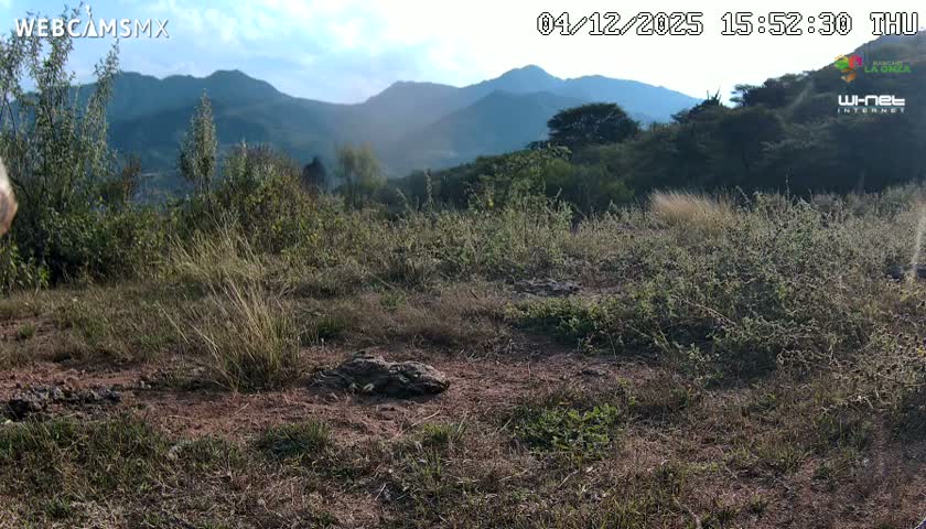Rancho La Onza Bordo Natural Park Live Cam - San Luiz de la Paz, Guanajuato, Mexico