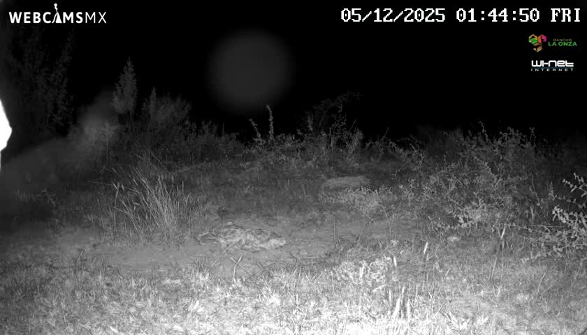 Rancho La Onza Bordo Natural Park Live Cam - San Luiz de la Paz, Guanajuato, Mexico