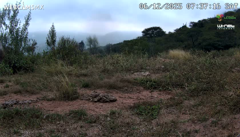 Rancho La Onza Bordo Natural Park Live Cam - San Luiz de la Paz, Guanajuato, Mexico