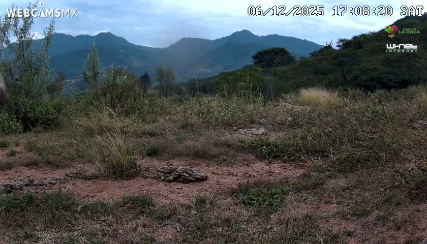 Rancho La Onza Bordo Natural Park Live Cam - San Luiz de la Paz, Guanajuato, Mexico