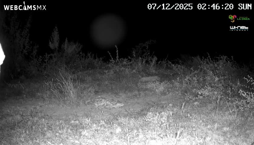 Rancho La Onza Bordo Natural Park Live Cam - San Luiz de la Paz, Guanajuato, Mexico