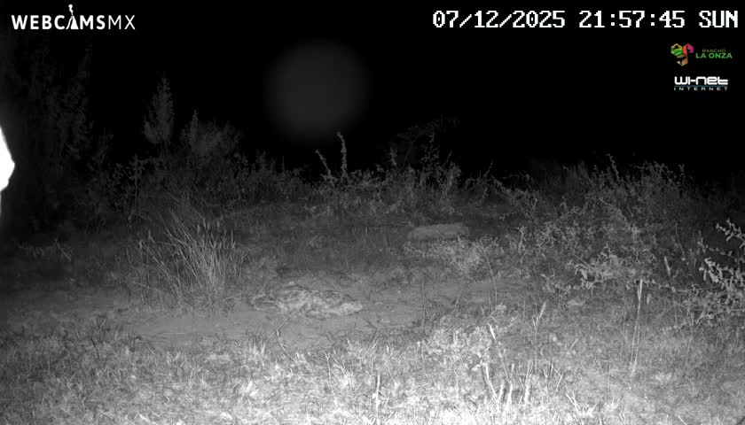 Rancho La Onza Bordo Natural Park Live Cam - San Luiz de la Paz, Guanajuato, Mexico