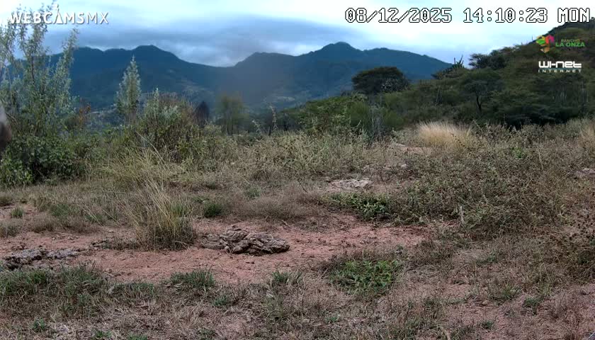 Rancho La Onza Bordo Natural Park Live Cam - San Luiz de la Paz, Guanajuato, Mexico