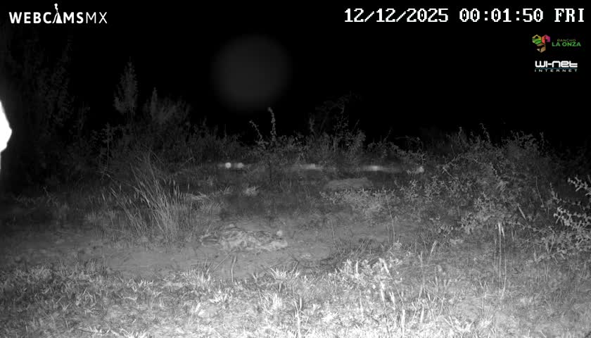 Rancho La Onza Bordo Natural Park Live Cam - San Luiz de la Paz, Guanajuato, Mexico