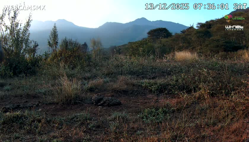 Rancho La Onza Bordo Natural Park Live Cam - San Luiz de la Paz, Guanajuato, Mexico