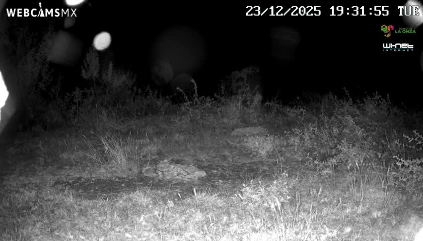 Rancho La Onza Bordo Natural Park Live Cam - San Luiz de la Paz, Guanajuato, Mexico