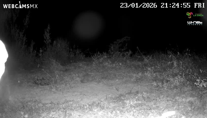 Rancho La Onza Bordo Natural Park Live Cam - San Luiz de la Paz, Guanajuato, Mexico